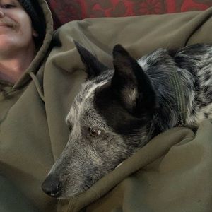 Meet your Posher, Jesse